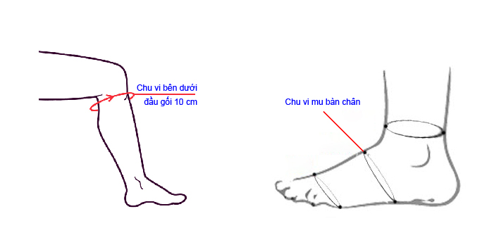 Hướng dẫn đo size đai hỗ trợ gân Achilles bonbone Achilles Tendon UP