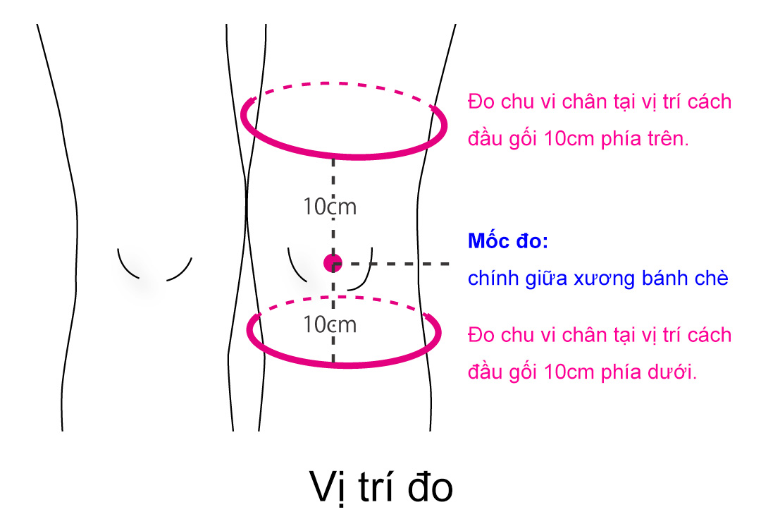 Hướng dẫn đo size đai hỗ trợ đầu gối bonbone Free Knee Supporter KI