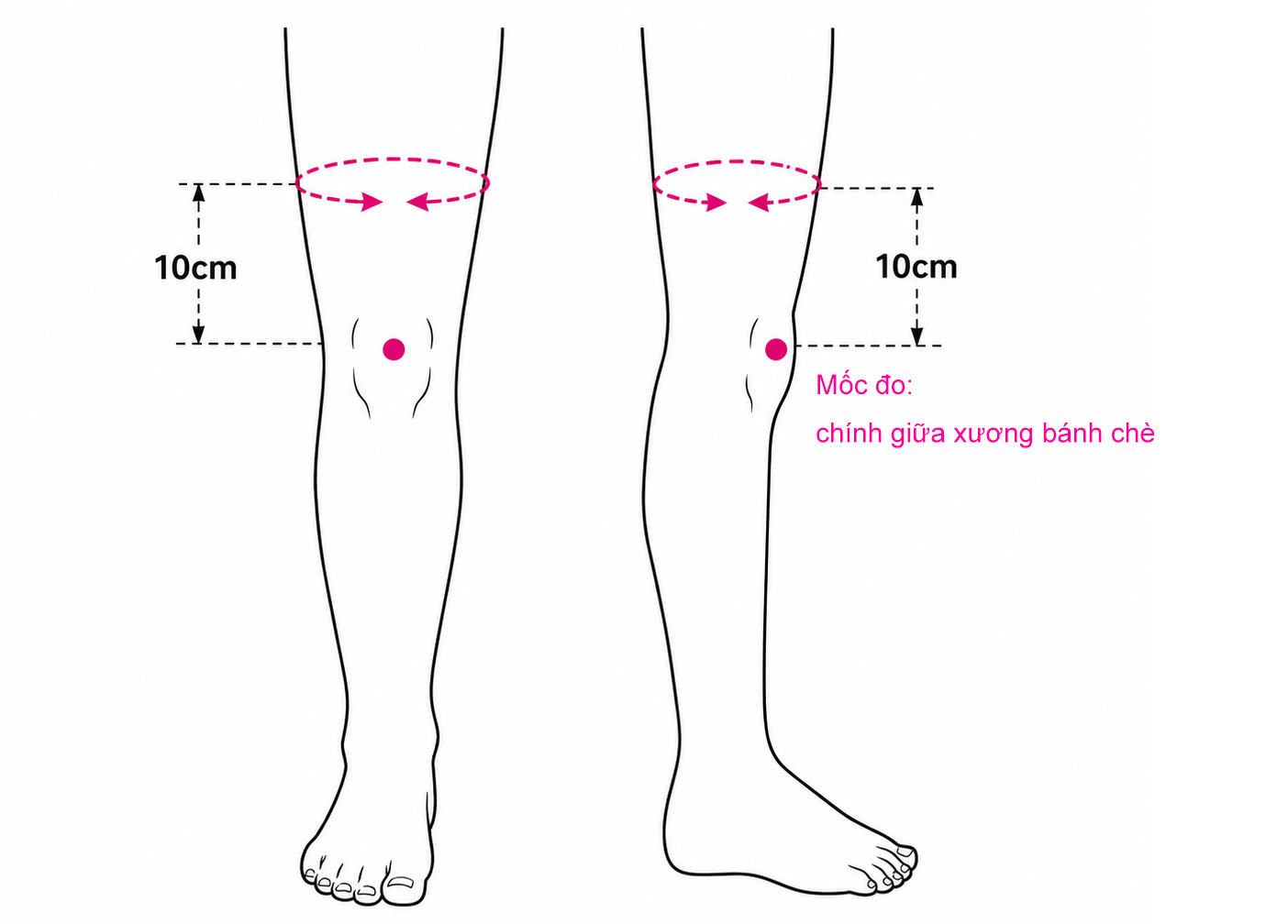 Hướng dẫn đo size đai hỗ trợ đầu gối bonbone
