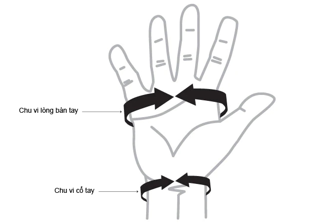 Hướng dẫn đo size đai hỗ trợ cổ tay bonbone A-Wrist Guard